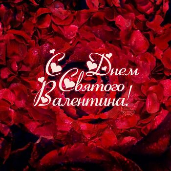 ДВФ ВАВТ - «День святого Валентина»