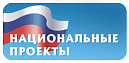 «Проблемы реализации национальных проектов Российской Федерации»